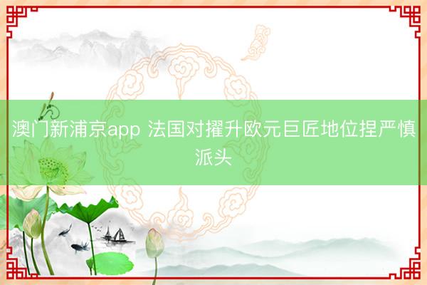 澳门新浦京app 法国对擢升欧元巨匠地位捏严慎派头
