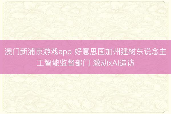 澳门新浦京游戏app 好意思国加州建树东说念主工智能监督部门 激动xAI造访