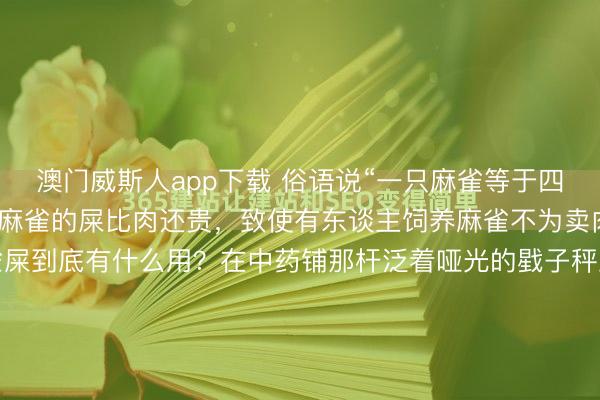 澳门威斯人app下载 俗语说“一只麻雀等于四两东谈主参”，然而其实麻雀的屎比肉还贵，致使有东谈主饲养麻雀不为卖肉，只为蚁集粪便，麻雀屎到底有什么用？在中药铺那杆泛着哑光的戥子秤上，性命巧合候不仅轻如鸿毛，致使会出现古怪的倒挂。一端是还是被视为适口、如今只可在暗盘便宜流窜的麻雀肉。另一端，却是按克计价、名为“白丁香”...