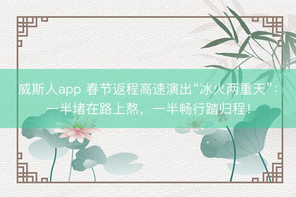 威斯人app 春节返程高速演出“冰火两重天”：一半堵在路上熬，一半畅行踏归程！