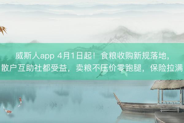 威斯人app 4月1日起！食粮收购新规落地，散户互助社都受益，卖粮不压价零跑腿，保险拉满