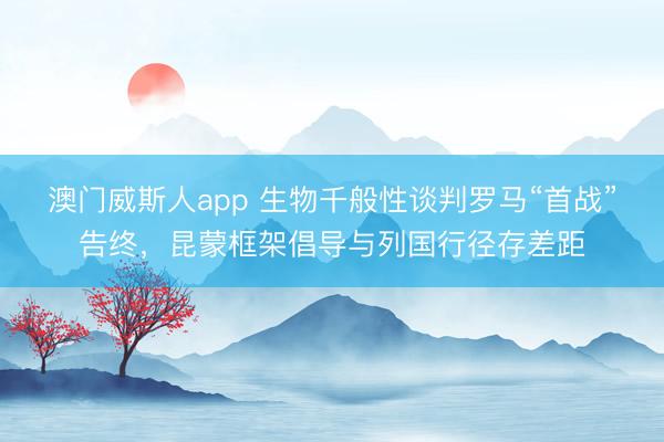 澳门威斯人app 生物千般性谈判罗马“首战”告终,昆蒙框架倡导与列国行径存差距