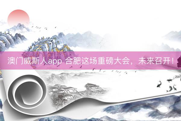 澳门威斯人app 合肥这场重磅大会，未来召开！
