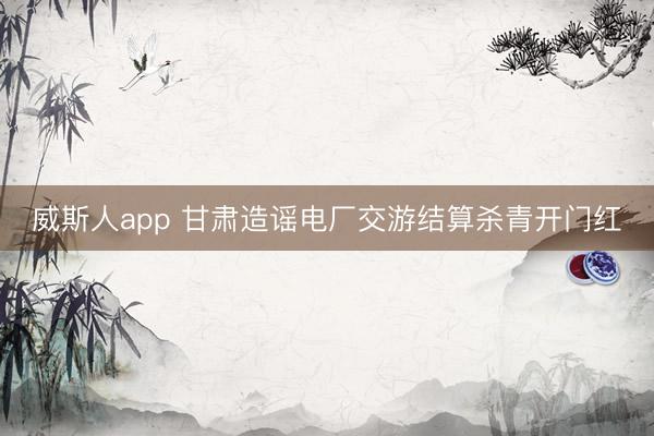 威斯人app 甘肃造谣电厂交游结算杀青开门红