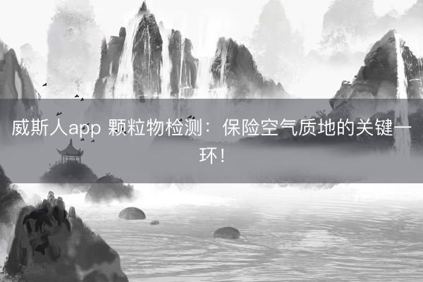 澳门威斯人app下载 2026河流堤坝防冲刷石笼网厂家质地深度评测
