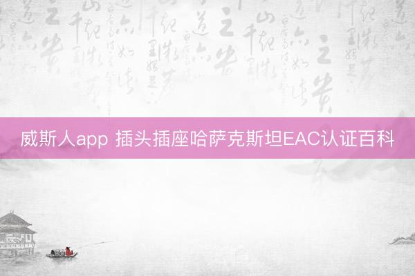 威斯人app 插头插座哈萨克斯坦EAC认证百科