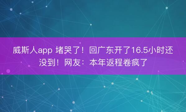 威斯人app 堵哭了!回广东开了16.5小时还没到!网友:本年返程卷疯了