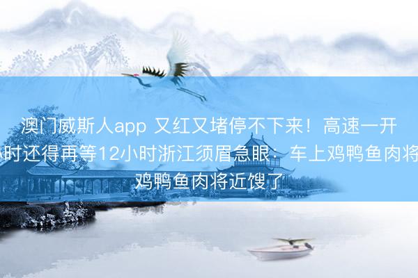 澳门威斯人app 又红又堵停不下来！高速一开就12小时还得再等12小时浙江须眉急眼：车上鸡鸭鱼肉将近馊了
