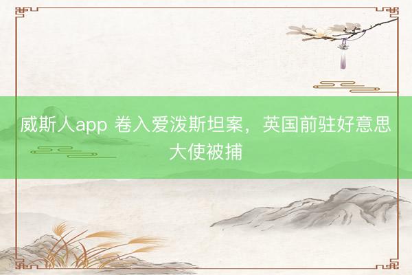威斯人app 卷入爱泼斯坦案，英国前驻好意思大使被捕